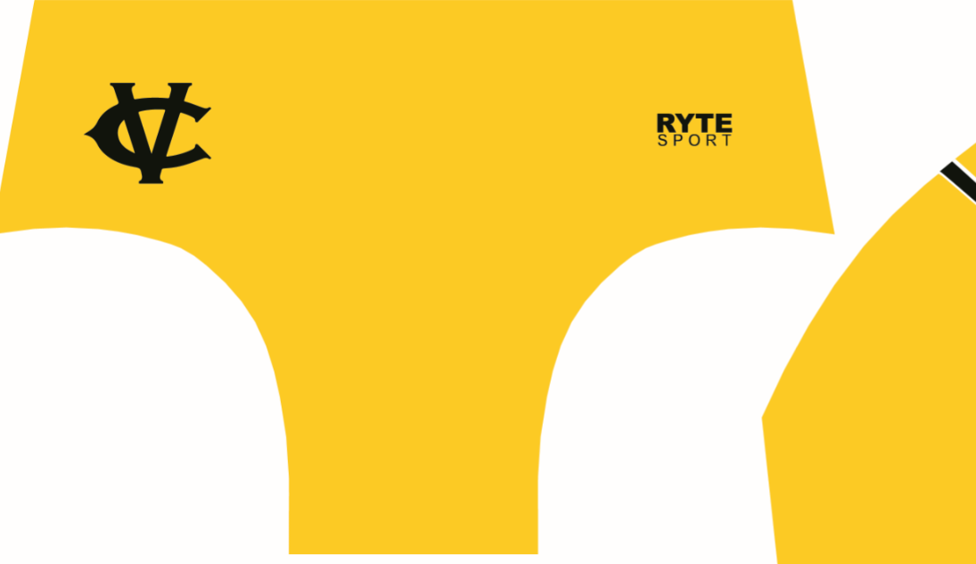 Capo Valley High School Gold Custom Men's Water Polo Brief Merch Farm