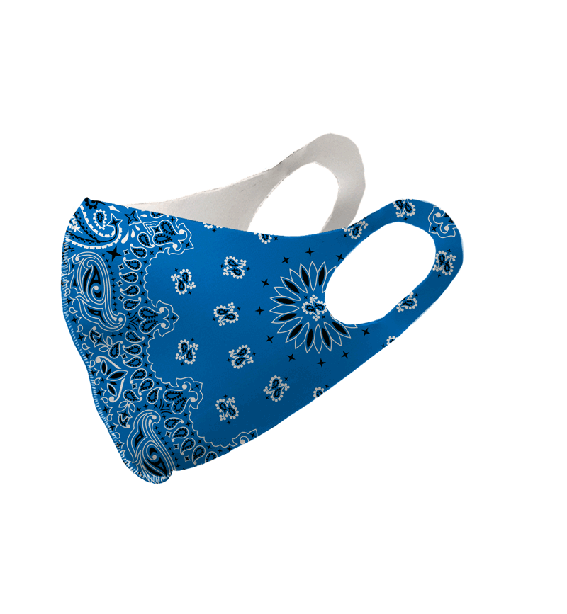 Blue Paisley Olson Face Mask